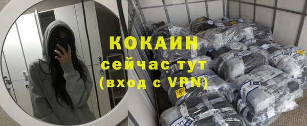 стаф Богданович